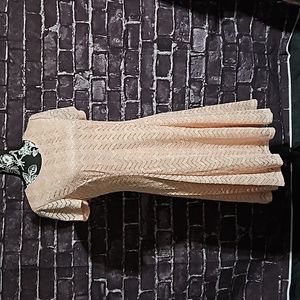 SLNY Pink Overlay Lace Fully Lined size 12